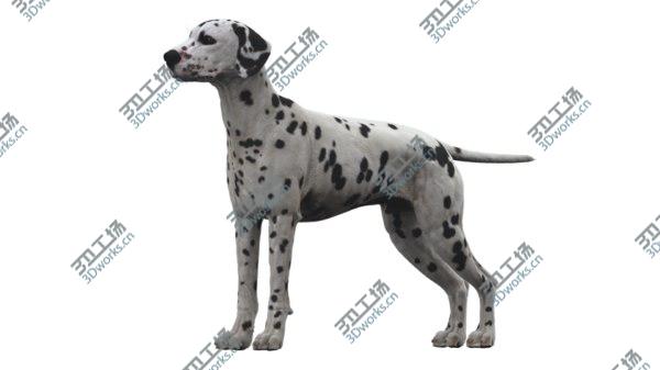 images/goods_img/20210312/Dalmatian 3D model/2.jpg